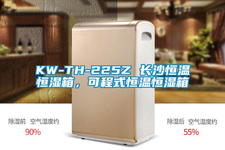 KW-TH-225Z 長(zhǎng)沙恒溫恒濕箱，可程式恒溫恒濕箱