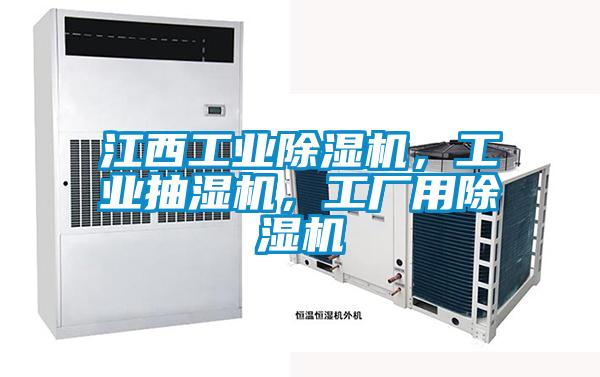 江西工業(yè)除濕機，工業(yè)抽濕機，工廠用除濕機