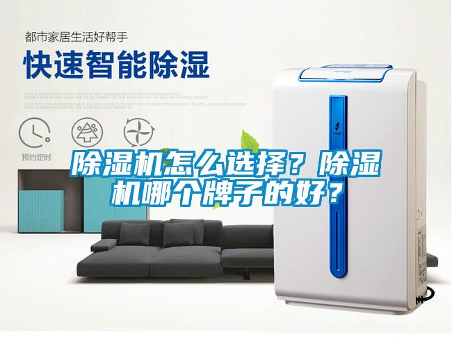 除濕機(jī)怎么選擇？除濕機(jī)哪個牌子的好？