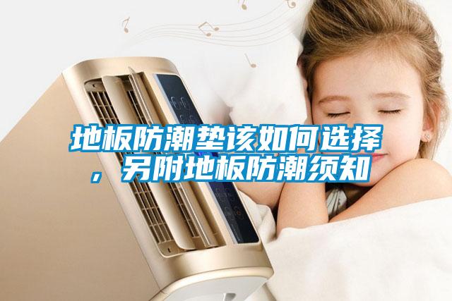地板防潮墊該如何選擇，另附地板防潮須知