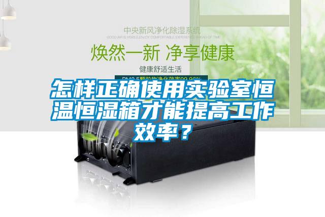 怎樣正確使用實(shí)驗(yàn)室恒溫恒濕箱才能提高工作效率？