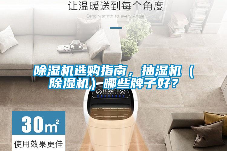 除濕機選購指南，抽濕機（除濕機）哪些牌子好？