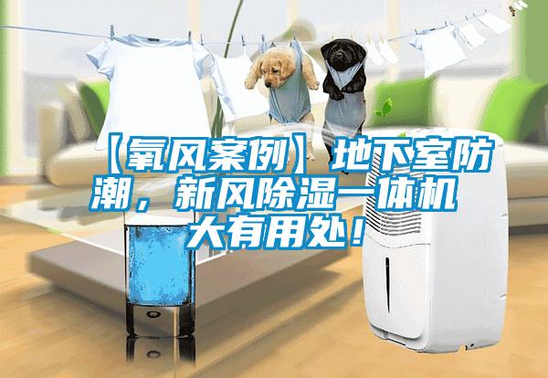 【氧風案例】地下室防潮，新風除濕一體機大有用處！