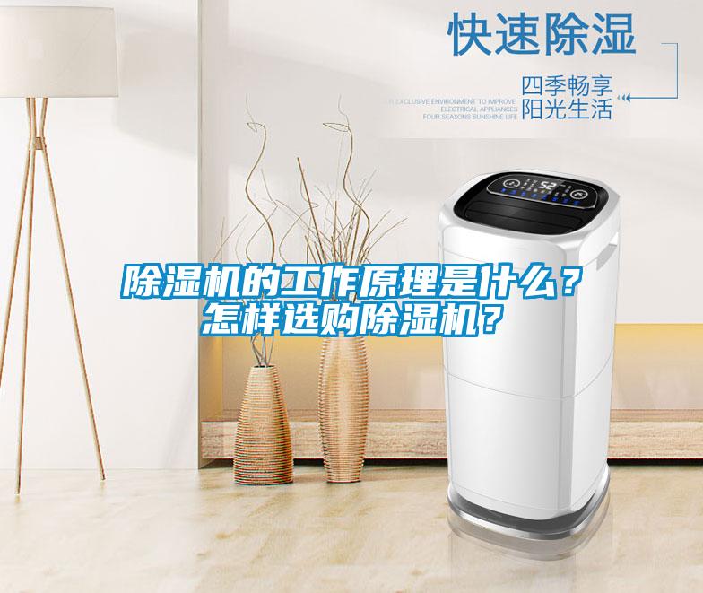 除濕機(jī)的工作原理是什么？怎樣選購(gòu)除濕機(jī)？