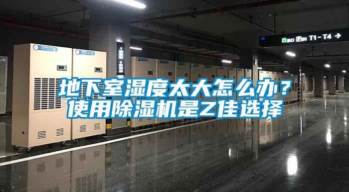 地下室濕度太大怎么辦？使用除濕機(jī)是Z佳選擇