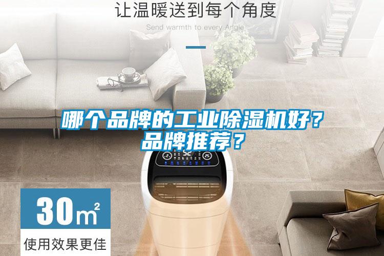 哪個(gè)品牌的工業(yè)除濕機(jī)好？品牌推薦？