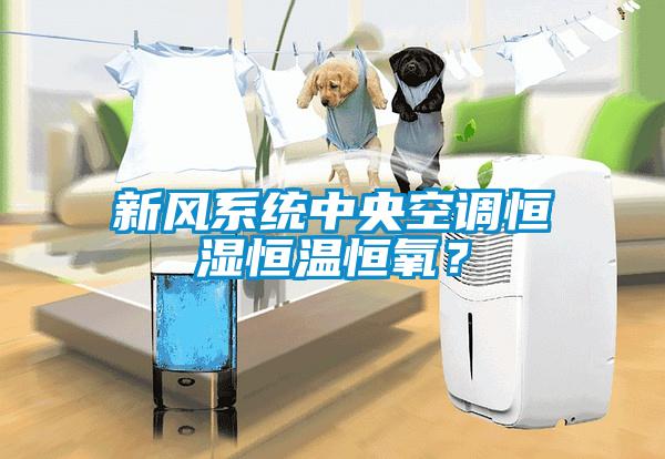 新風(fēng)系統(tǒng)中央空調(diào)恒濕恒溫恒氧？