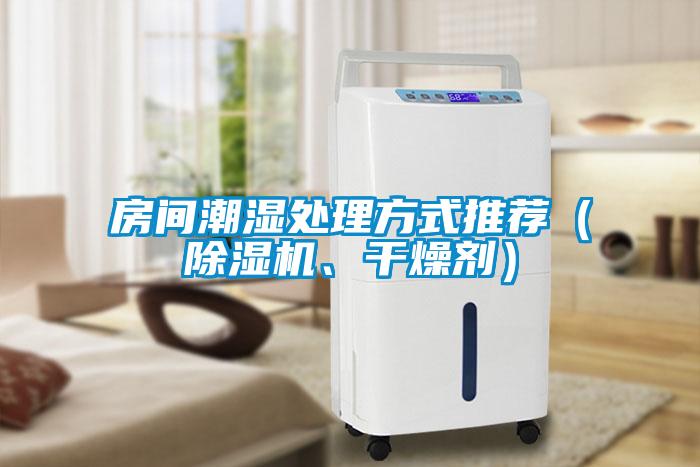 房間潮濕處理方式推薦（除濕機、干燥劑）
