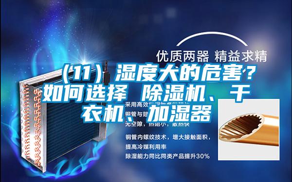 （11）濕度大的危害？如何選擇 除濕機、干衣機、加濕器