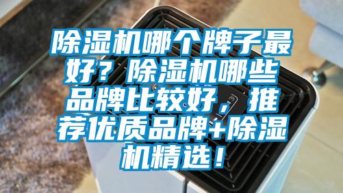 除濕機哪個牌子最好？除濕機哪些品牌比較好，推薦優(yōu)質(zhì)品牌+除濕機精選！