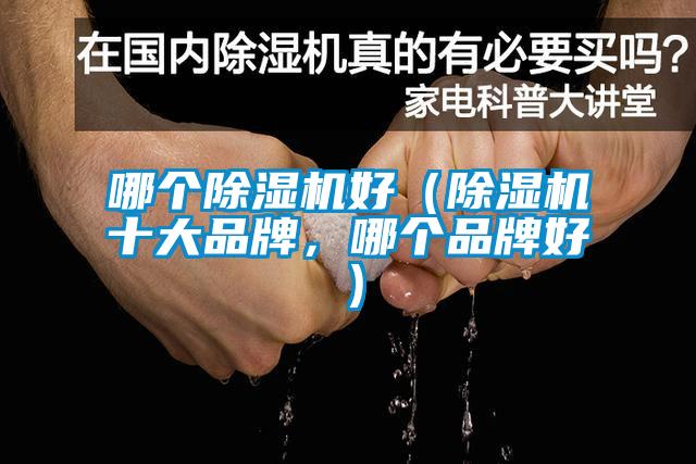 哪個(gè)除濕機(jī)好（除濕機(jī)十大品牌，哪個(gè)品牌好）