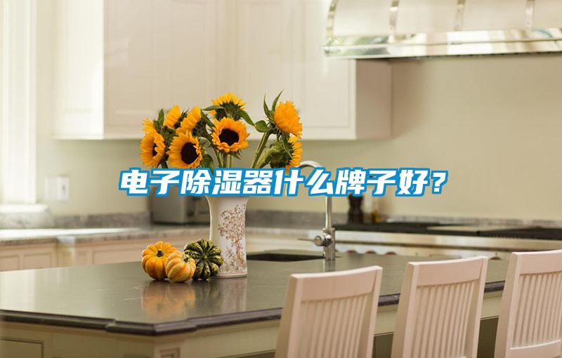 電子除濕器什么牌子好？