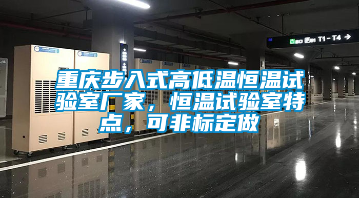 重慶步入式高低溫恒溫試驗(yàn)室廠家，恒溫試驗(yàn)室特點(diǎn)，可非標(biāo)定做