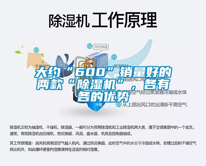 大約“600”銷量好的兩款“除濕機”，各有各的優(yōu)勢