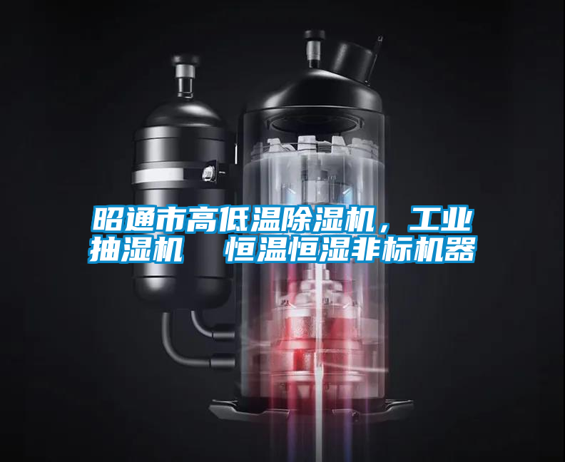 昭通市高低溫除濕機，工業(yè)抽濕機  恒溫恒濕非標機器