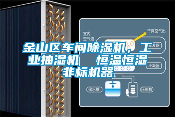 金山區(qū)車間除濕機(jī)，工業(yè)抽濕機(jī)  恒溫恒濕非標(biāo)機(jī)器
