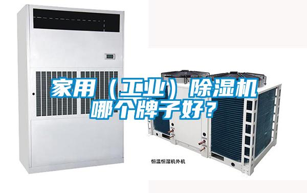 家用（工業(yè)）除濕機(jī)哪個(gè)牌子好？