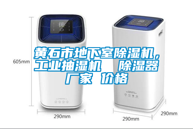 黃石市地下室除濕機，工業(yè)抽濕機  除濕器廠家 價格