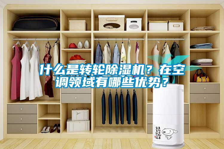 什么是轉(zhuǎn)輪除濕機(jī)？在空調(diào)領(lǐng)域有哪些優(yōu)勢(shì)？