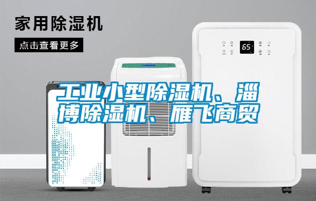工業(yè)小型除濕機(jī)、淄博除濕機(jī)、雁飛商貿(mào)