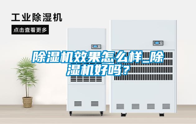 除濕機(jī)效果怎么樣_除濕機(jī)好嗎？
