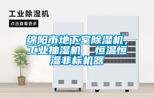 綿陽市地下室除濕機，工業(yè)抽濕機  恒溫恒濕非標(biāo)機器