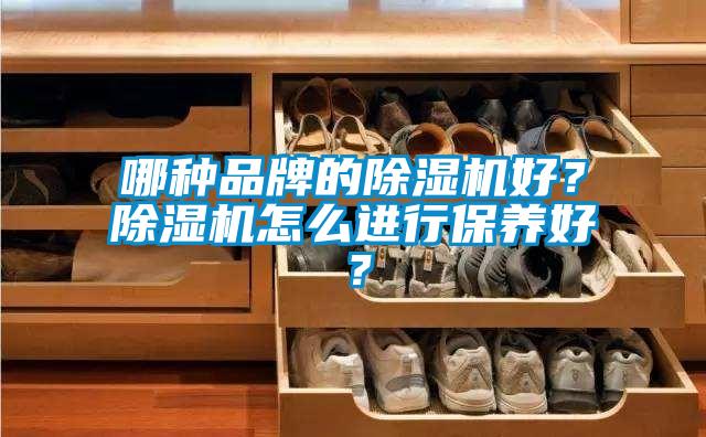 哪種品牌的除濕機(jī)好？除濕機(jī)怎么進(jìn)行保養(yǎng)好？