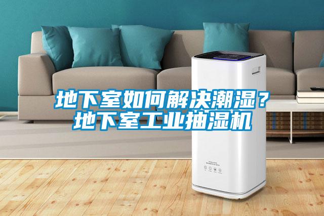 地下室如何解決潮濕？地下室工業(yè)抽濕機