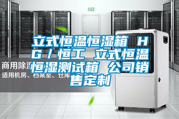 立式恒溫恒濕箱 HG／恒工 立式恒溫恒濕測(cè)試箱 公司銷(xiāo)售定制