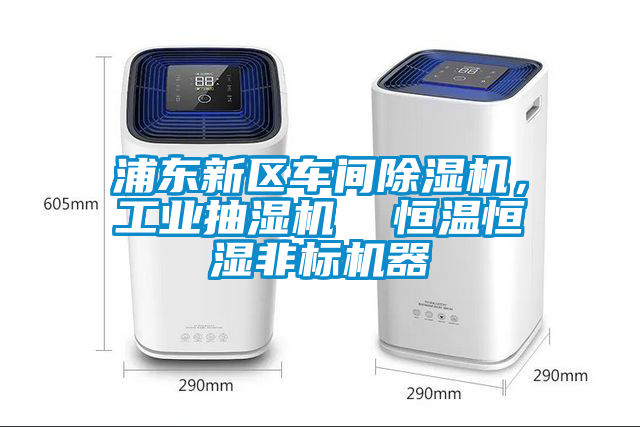 浦東新區(qū)車間除濕機，工業(yè)抽濕機  恒溫恒濕非標(biāo)機器