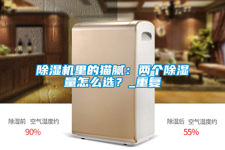 除濕機里的貓膩：兩個除濕量怎么選？_重復(fù)