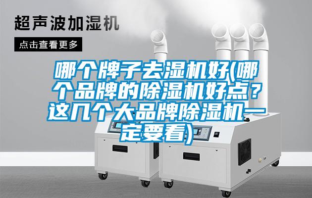 哪個(gè)牌子去濕機(jī)好(哪個(gè)品牌的除濕機(jī)好點(diǎn)？這幾個(gè)大品牌除濕機(jī)一定要看)