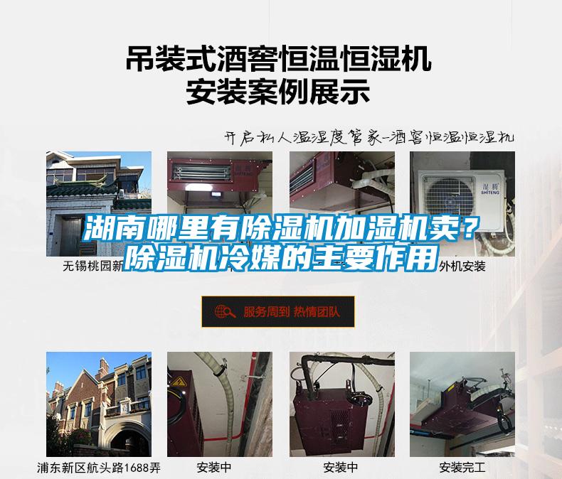 湖南哪里有除濕機加濕機賣？除濕機冷媒的主要作用