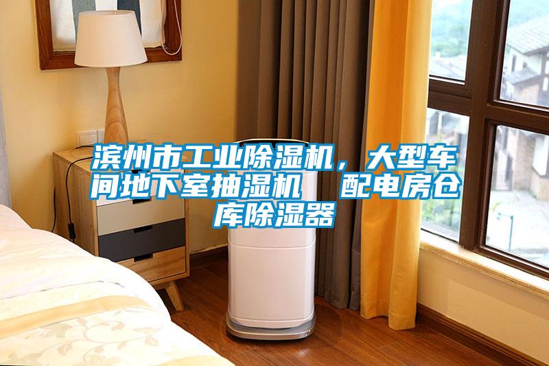 濱州市工業(yè)除濕機(jī)，大型車間地下室抽濕機(jī)  配電房倉庫除濕器