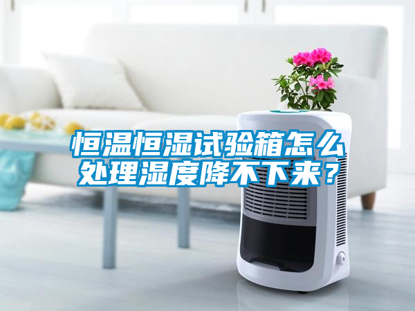 恒溫恒濕試驗箱怎么處理濕度降不下來？