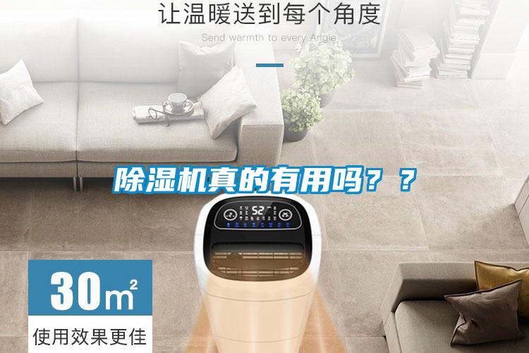 除濕機真的有用嗎？？