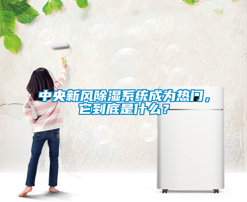 中央新風(fēng)除濕系統(tǒng)成為熱門，它到底是什么？