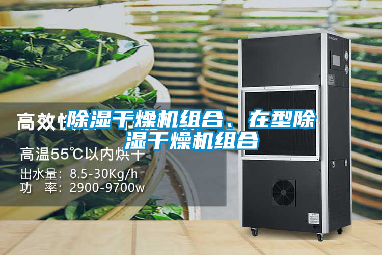 除濕干燥機(jī)組合、在型除濕干燥機(jī)組合