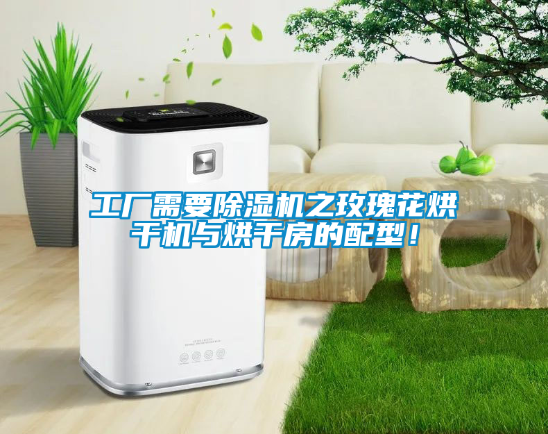 工廠需要除濕機之玫瑰花烘干機與烘干房的配型！