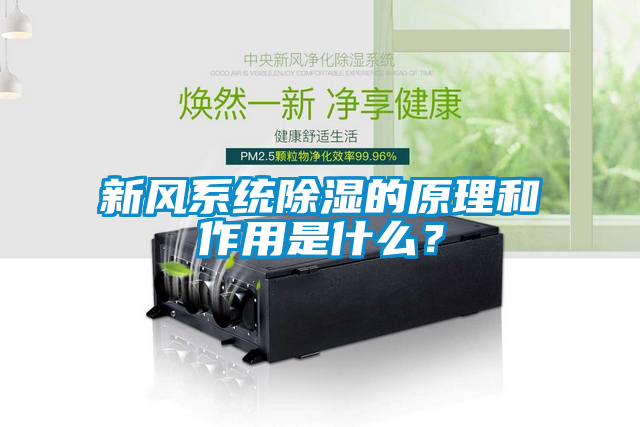 新風(fēng)系統(tǒng)除濕的原理和作用是什么？