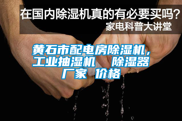 黃石市配電房除濕機，工業(yè)抽濕機  除濕器廠家 價格