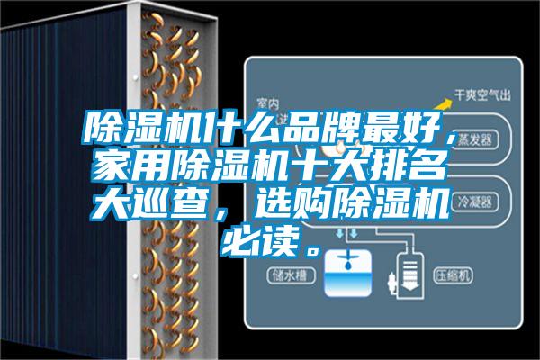 除濕機(jī)什么品牌最好，家用除濕機(jī)十大排名大巡查，選購除濕機(jī)必讀。