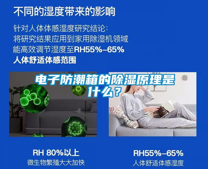 電子防潮箱的除濕原理是什么？