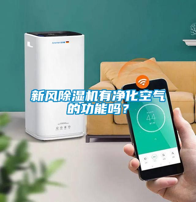 新風(fēng)除濕機(jī)有凈化空氣的功能嗎？