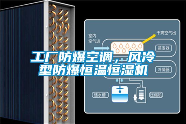 工廠防爆空調(diào)，風(fēng)冷型防爆恒溫恒濕機(jī)
