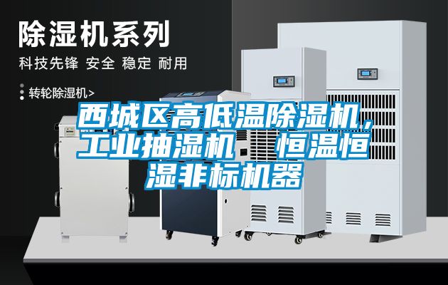 西城區(qū)高低溫除濕機(jī)，工業(yè)抽濕機(jī)  恒溫恒濕非標(biāo)機(jī)器