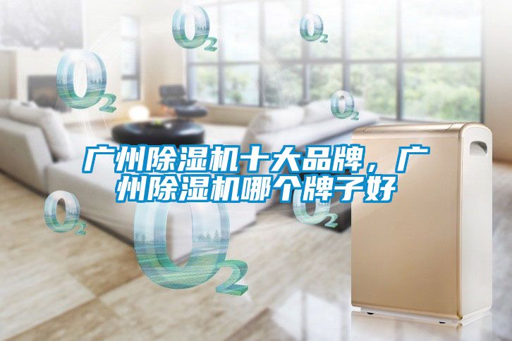 廣州除濕機(jī)十大品牌，廣州除濕機(jī)哪個(gè)牌子好