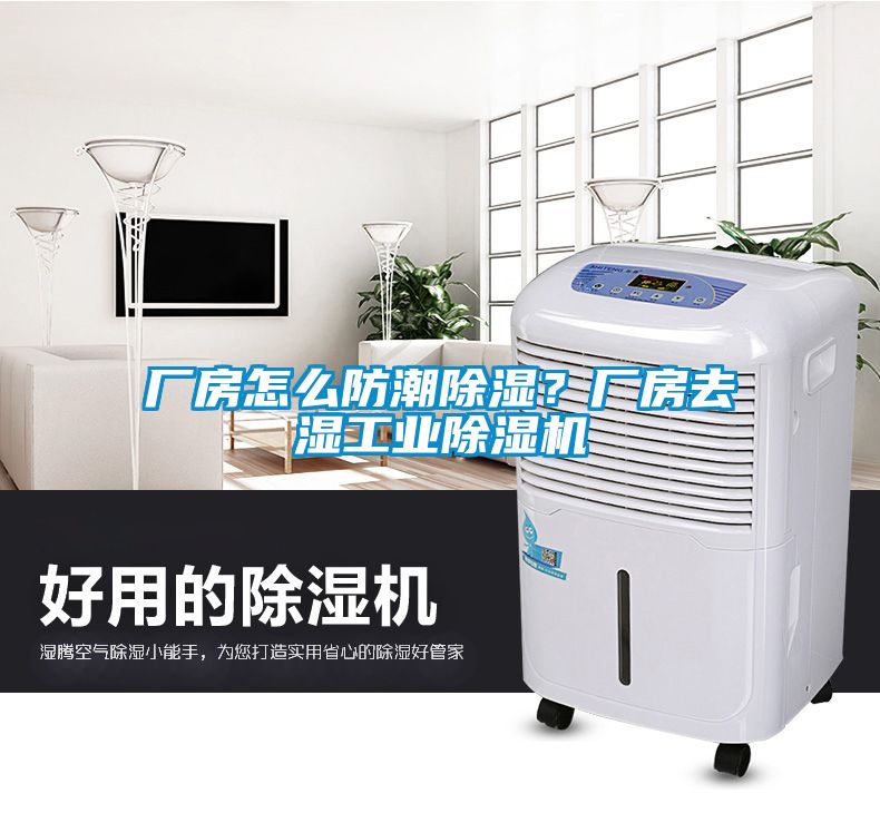 廠房怎么防潮除濕？廠房去濕工業(yè)除濕機