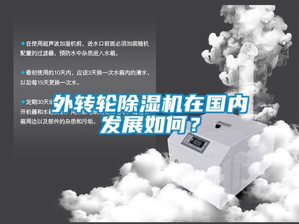 外轉(zhuǎn)輪除濕機(jī)在國(guó)內(nèi)發(fā)展如何？