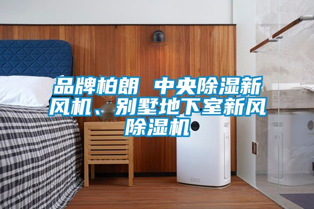 品牌柏朗 中央除濕新風(fēng)機(jī)、別墅地下室新風(fēng)除濕機(jī)
